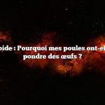 Réponse rapide : Pourquoi mes poules ont-elles cessé de pondre des œufs ?